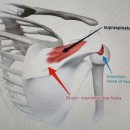 깨움피티 이미지