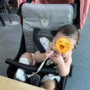 스테이더몽 | 7개월 아기랑 제주 여행 1일차 , 골막식당, 사계 보로스름 스테이더몽 2호점 숙소후기