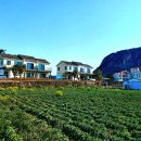 제주산방산황토펜션 이미지