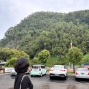 측백나무숲 주차장 | 19년째 만나는 중입니다..팔공산식당 무릉도동 도동측백나무숲 측백향 카페