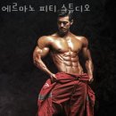 에르마노 피티스튜디오 이미지