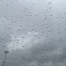 신백현대의원 이미지