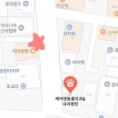 케어덴 동물치과&내과병원 이미지