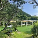 스테이246 이미지