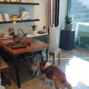 멍shower(멍샤워) 이미지