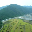 구절초 축제 (정읍시 산내면사무소 앞) 이미지