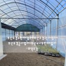 화목조경 이미지