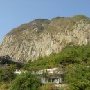 제주 산방산 암벽식물지대 이미지