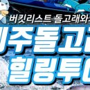 제주 돌고래 이미지