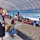 유유홍잠체험휴양마을 이미지