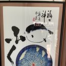 마라도복어 이미지