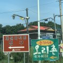 송가네펜션 | 속초맛집 속초 오리고기 맛집 현지인맛집 송가네오리촌 솔직후기