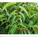 풍성농장 이미지