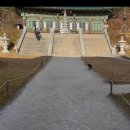 낙산사 | 강원도 양양 낙산사 후기(강릉 양양 오션뷰카페 다래헌 최고,,)