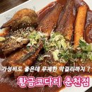 황금코다리춘천점