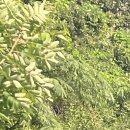 교보생명안양영업국 이미지