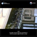 소모