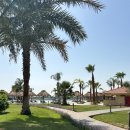 고 짐(GO GYM) | [후루가다 → 룩소르] 고버스(Go Bus) 이동 | 졸리빌 리조트(Jolie Ville Resort) 후기