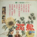화조 Daum카페