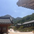[속초 여행지] 신흥사에서 마주한 울산바위 뷰 후기
