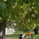 리오 비스트로 이미지