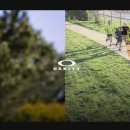 코리도어 이미지