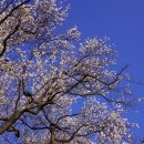 구조라로 2길 이미지