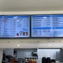 청춘꼬마김밥양산