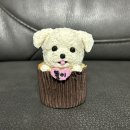 멍멍미식회 | 이천수제간식 | 이천강아지케이크 멍멍미식회 후기