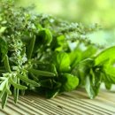 허브 식물과 향기의 이용 이미지