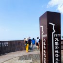 스카이행정사사무소 이미지