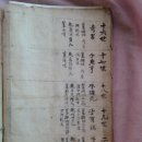 원윤 - 강남구 언주로172길 25 | 원윤