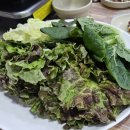 천전언양농장생오리 | 울산 중구 태화동 맛집, 천전 언양농장생오리