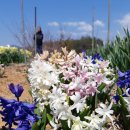 선암농장 이미지