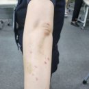 인천공항항공보안 노동조합 이미지