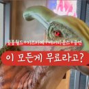 공룡게임장 이미지