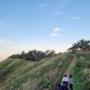 섬목 관음도 이미지