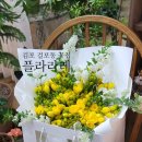 플라라레 이미지