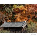 보덕사해우소 이미지