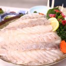 태백수족관 이미지