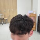 린다로니 이미지