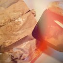 비에이치씨 평해점 이미지