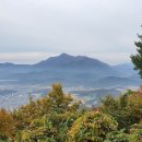 (주)금오 이미지
