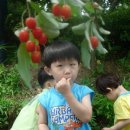 보리수어린이집 이미지