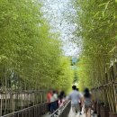 CU 금동중앙점 | 서울 비오는날 실내 가볼만한 곳 국립중앙박물관 굿즈 추천 및 전시 후기