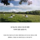 모호서울