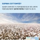 키테토