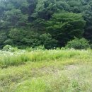 강변축구장 이미지