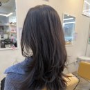 컷트3 | 허쉬 레이어드펌 3개월지나서 컷트후기 마비에 허현 점장 부산대미용실