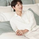 분당알레르망 이미지